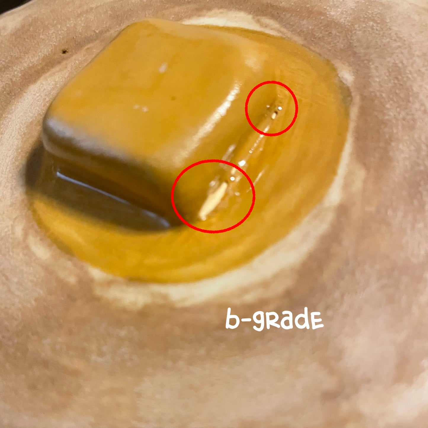 Pancake Bunny Container